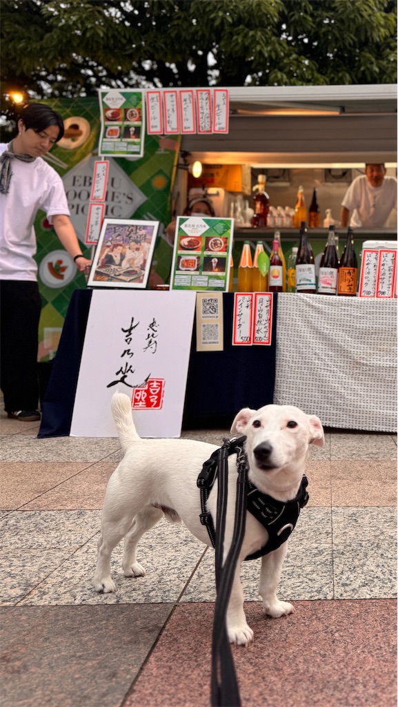 f:id:EBISUINU:20250613213307j:image f:id:EBISUINU:20250613213307j:image