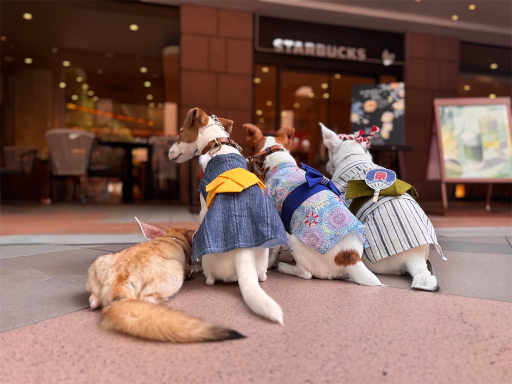 f:id:EBISUINU:20250724172639j:image