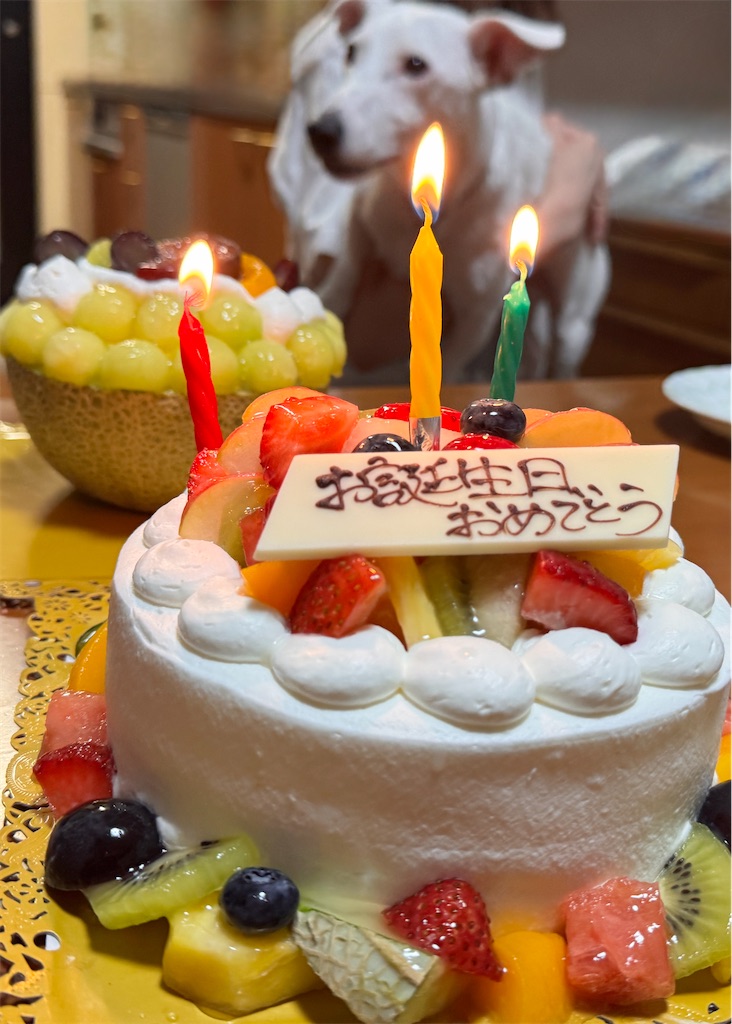 f:id:EBISUINU:20250906082734j:image