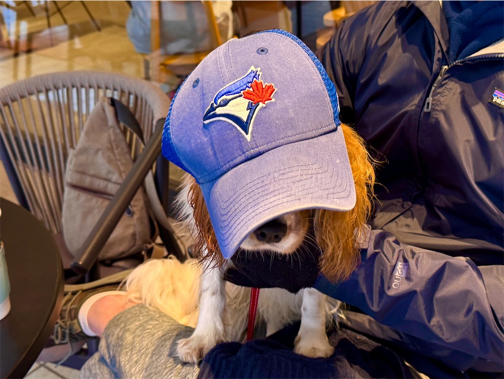 f:id:EBISUINU:20251026171322j:image f:id:EBISUINU:20251026171322j:image