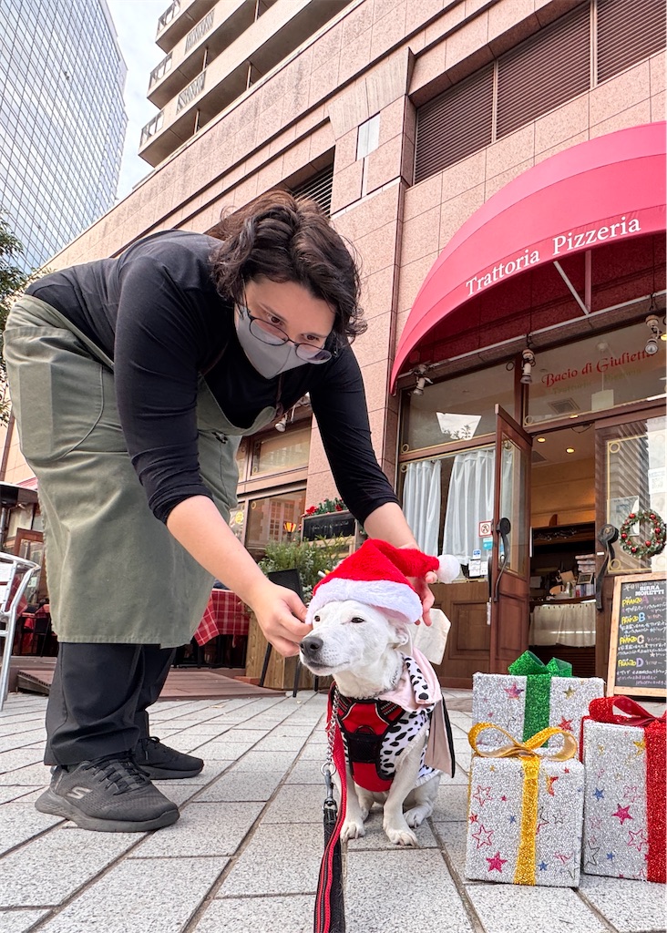 f:id:EBISUINU:20251110202812j:image