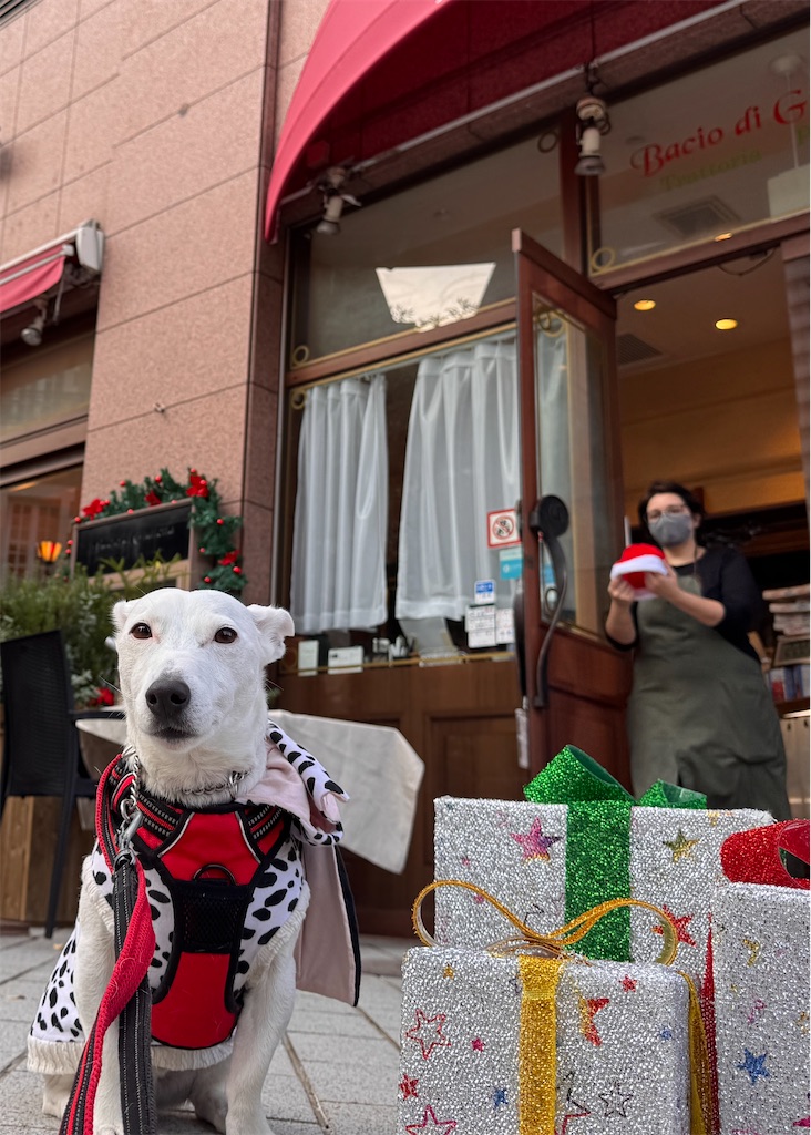 f:id:EBISUINU:20251110202815j:image