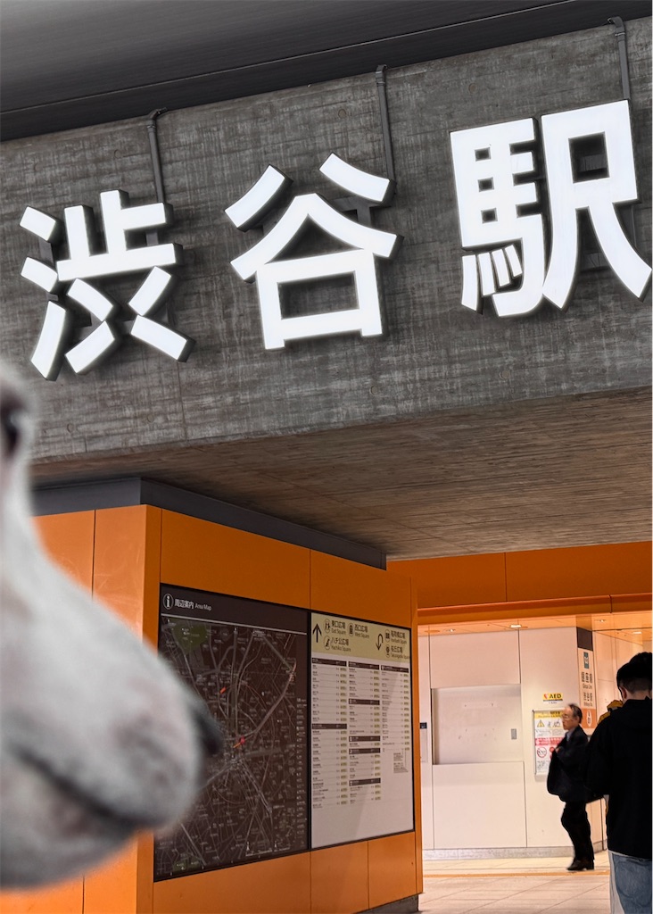 f:id:EBISUINU:20251111210850j:image