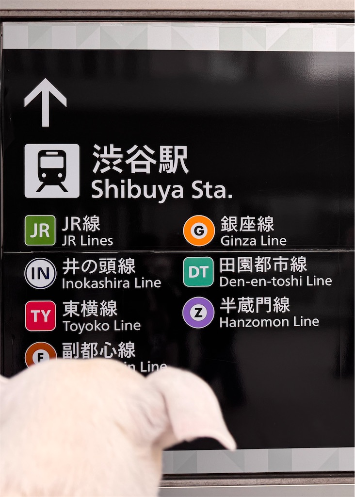 f:id:EBISUINU:20251111210853j:image