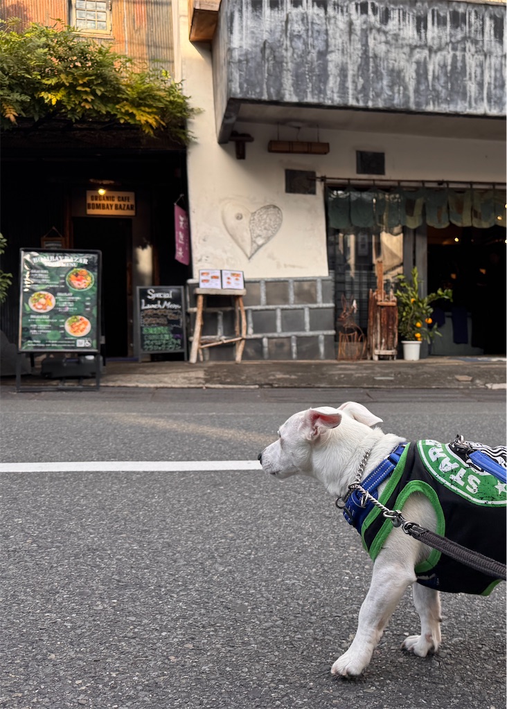 f:id:EBISUINU:20251112185439j:image