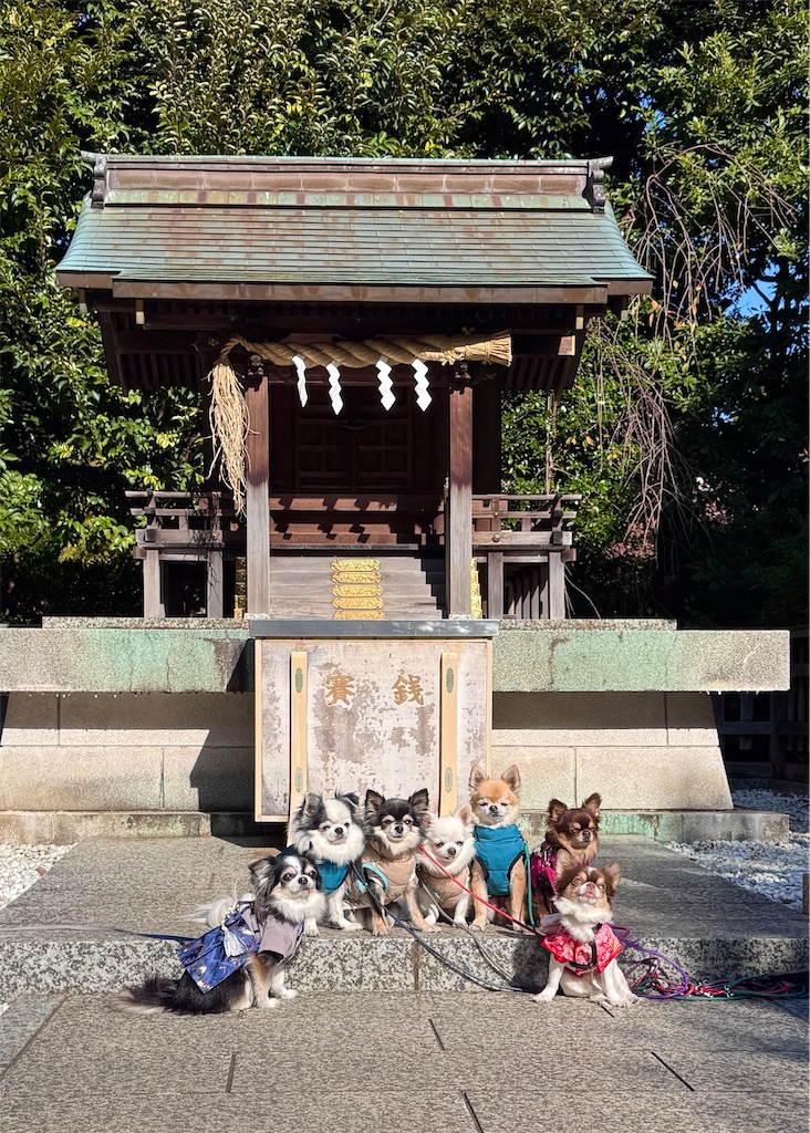 f:id:EBISUINU:20251115145032j:image
