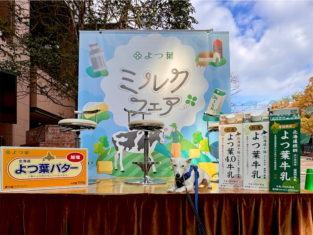 f:id:EBISUINU:20251115152838j:image