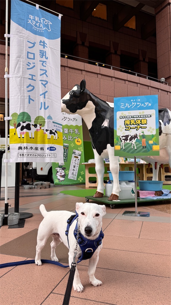 f:id:EBISUINU:20251115152958j:image