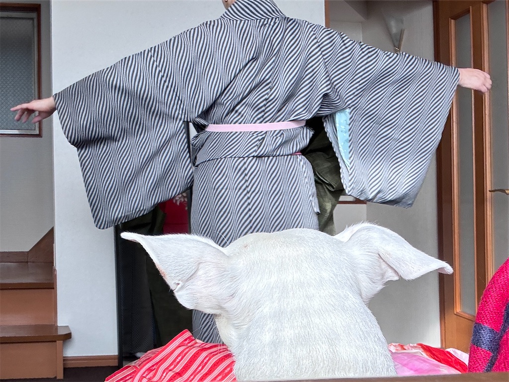 f:id:EBISUINU:20251130193954j:image