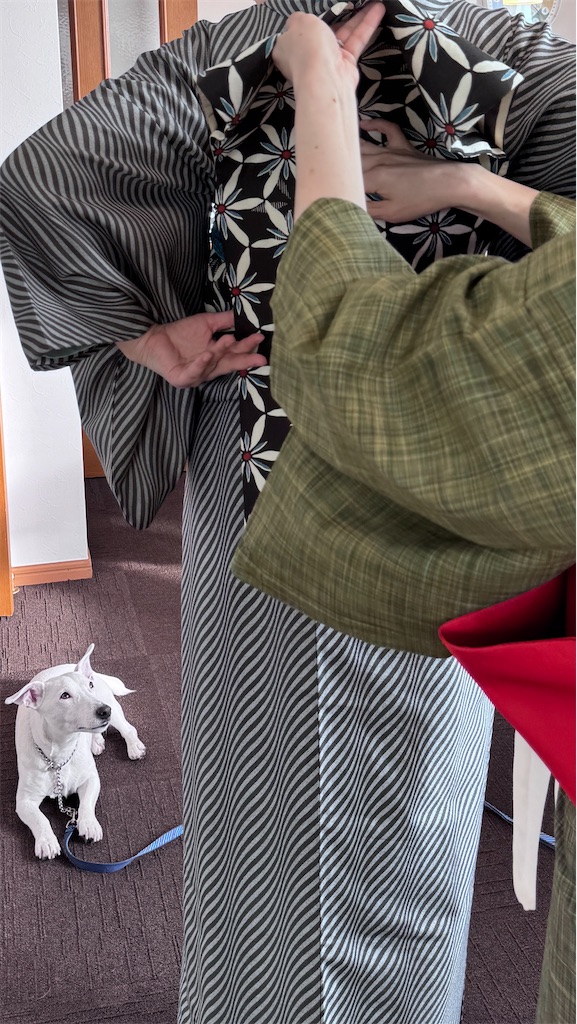 f:id:EBISUINU:20251130194311j:image