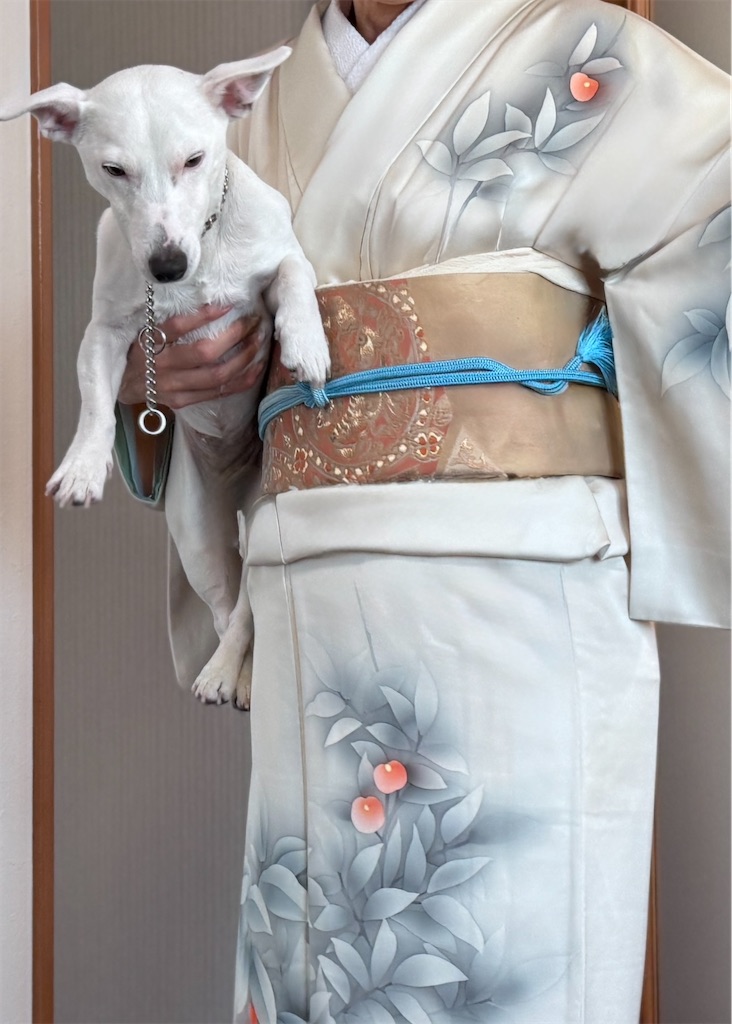 f:id:EBISUINU:20251130194810j:image