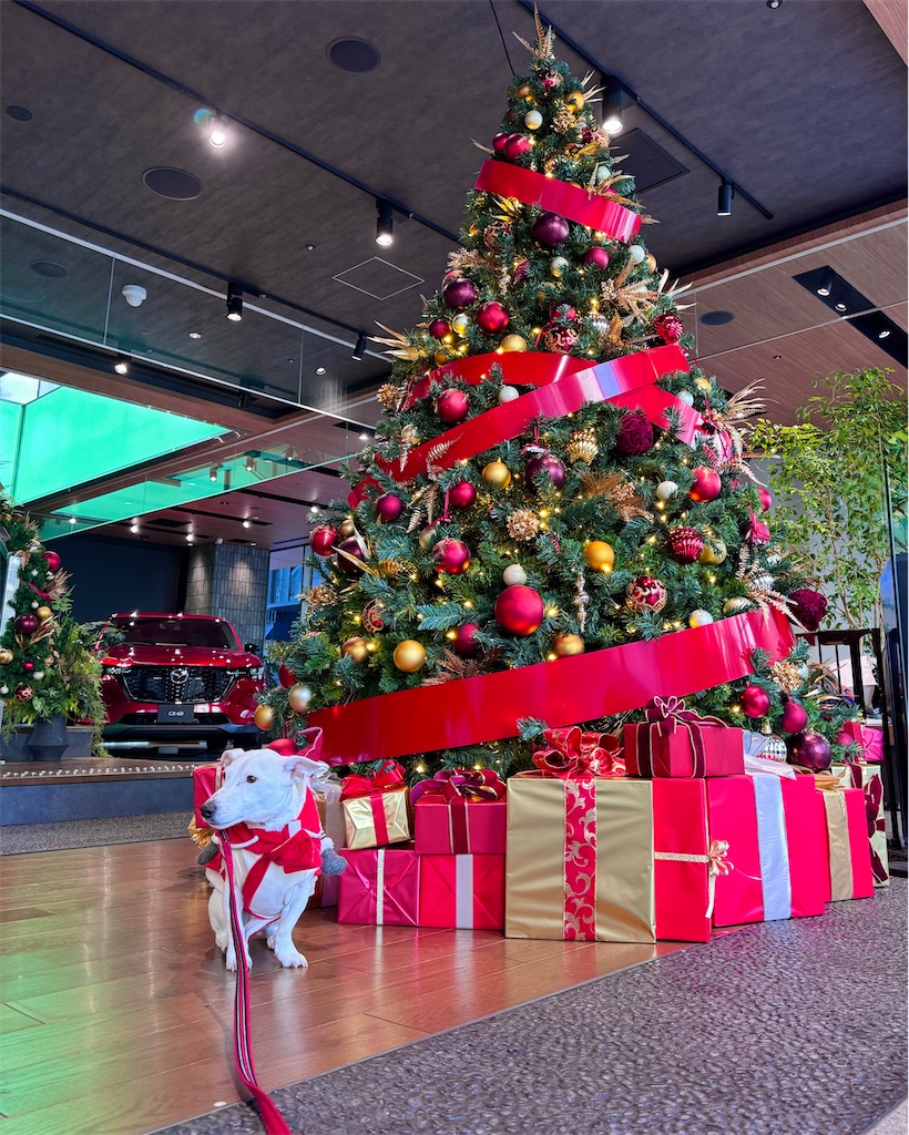 f:id:EBISUINU:20251208205056j:image f:id:EBISUINU:20251208205056j:image