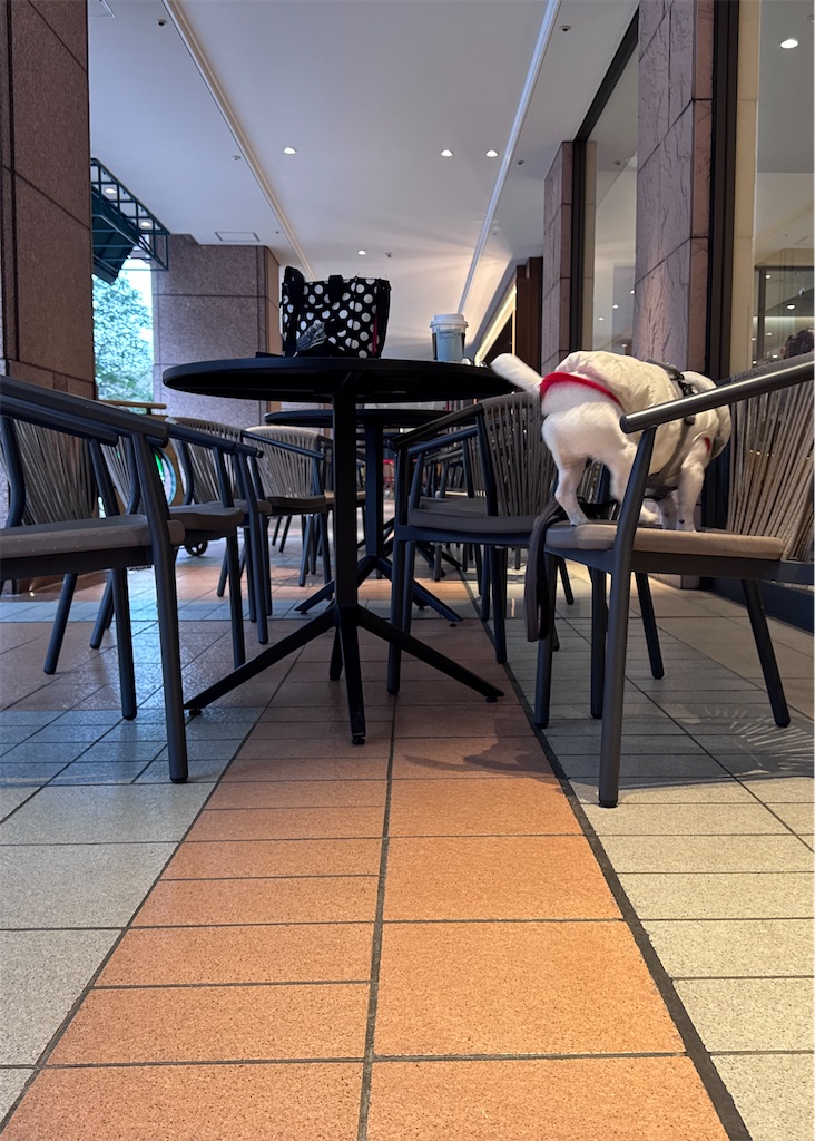 f:id:EBISUINU:20260109212844j:image