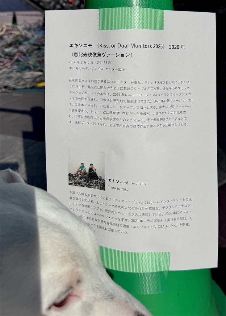 f:id:EBISUINU:20260205181037j:image