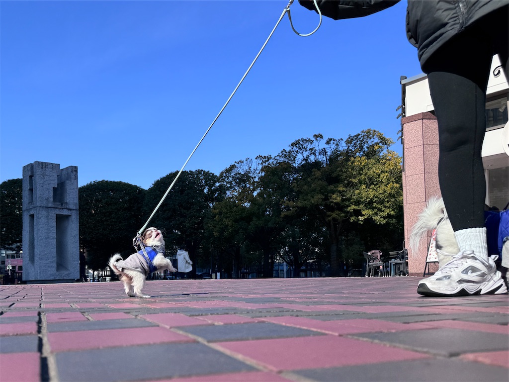 f:id:EBISUINU:20260206204735j:image