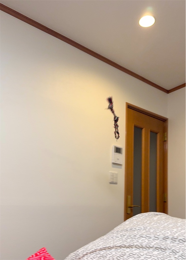 f:id:EBISUINU:20260222200415j:image