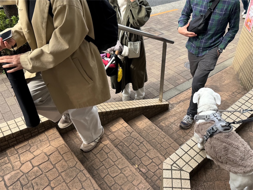 f:id:EBISUINU:20260322160928j:image