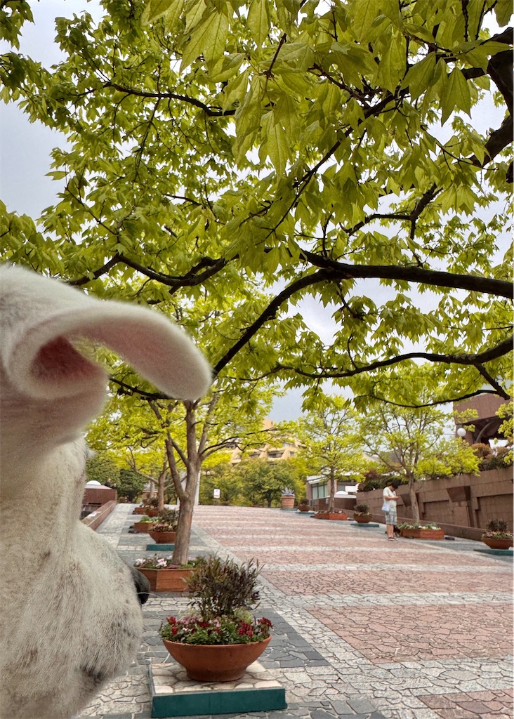 f:id:EBISUINU:20260419165503j:image