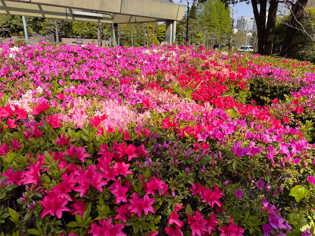 f:id:EBISUINU:20260422204928j:image f:id:EBISUINU:20260422204928j:image