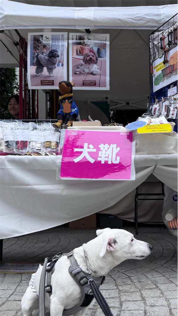 f:id:EBISUINU:20260607180220j:image