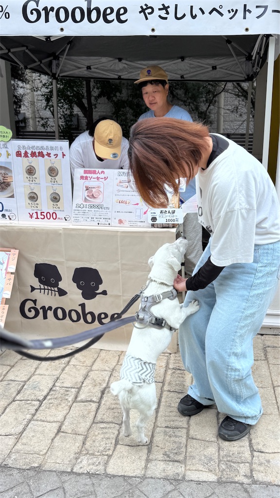f:id:EBISUINU:20260607180223j:image