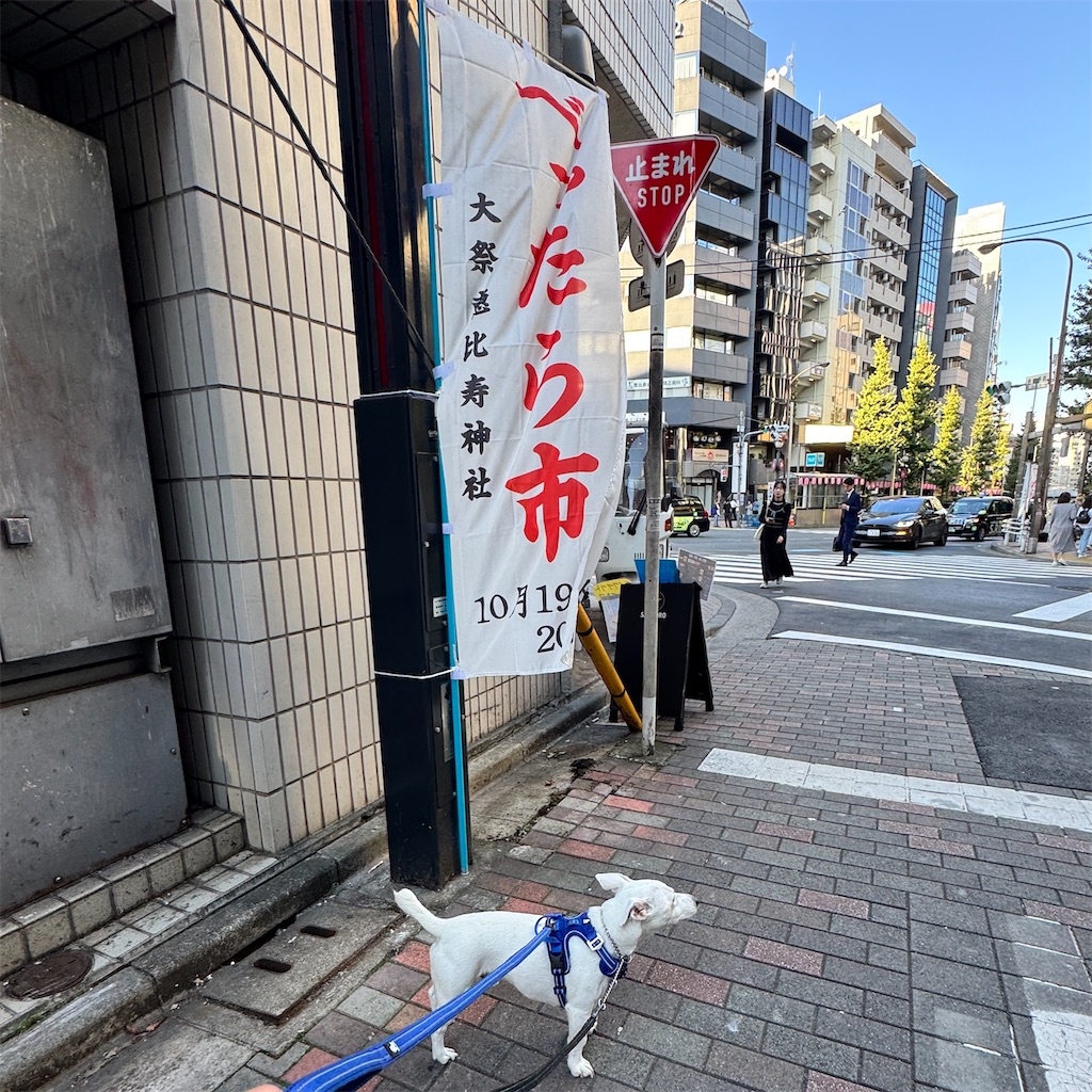 f:id:EBISUINU:20261017180418j:image f:id:EBISUINU:20261017180418j:image