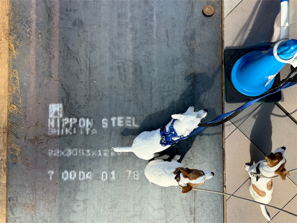 f:id:EBISUINU:20261017192805j:image f:id:EBISUINU:20261017192805j:image