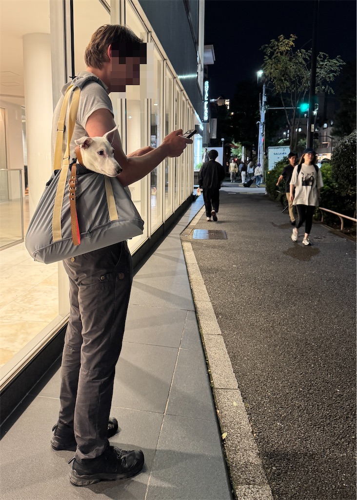 f:id:EBISUINU:20261020064232j:image f:id:EBISUINU:20261020064232j:image