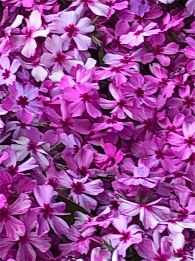 f:id:ECOUNSELOR:20190412204236j:image