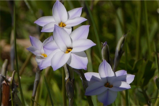 f:id:ECOUNSELOR:20190426045806j:image