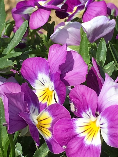 f:id:ECOUNSELOR:20190502144948j:image f:id:ECOUNSELOR:20190502144948j:image