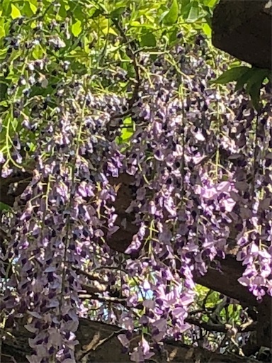 f:id:ECOUNSELOR:20190507221535j:image f:id:ECOUNSELOR:20190507221535j:image
