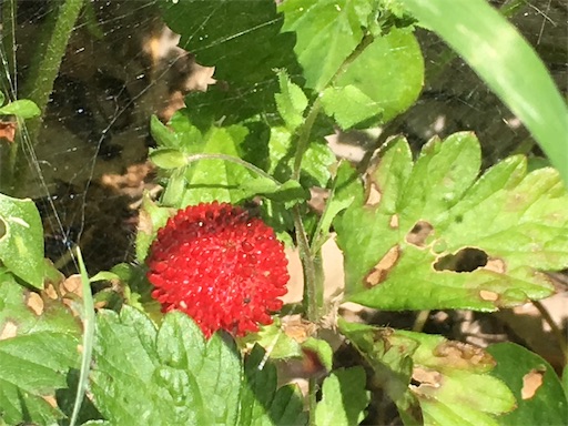 f:id:ECOUNSELOR:20190512135657j:image f:id:ECOUNSELOR:20190512135657j:image
