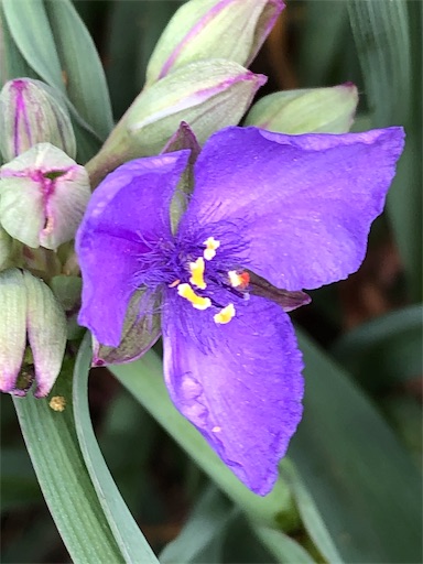 f:id:ECOUNSELOR:20190520213531j:image