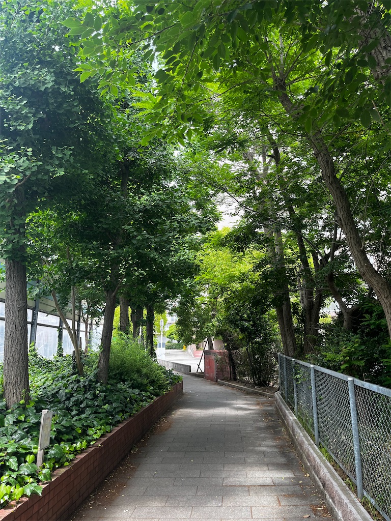 f:id:ED105:20230528215944j:image