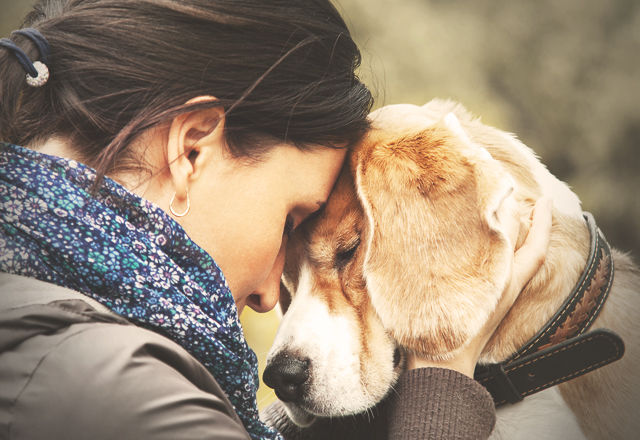 f:id:EDeNworld:20210405161128j:plain