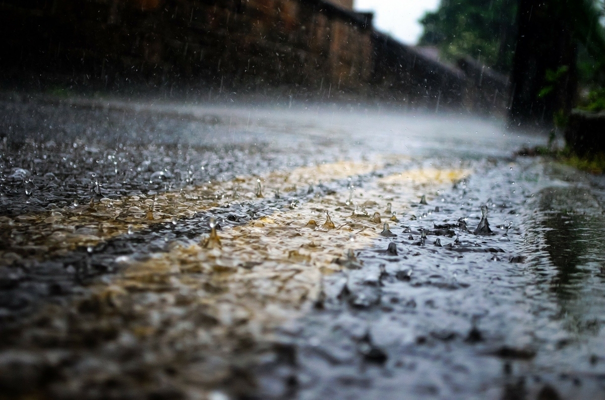 雨の日の道路