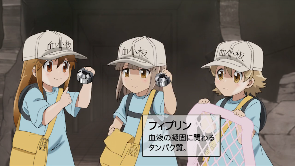 f:id:EF_510_514:20180721223825p:image f:id:EF_510_514:20180721223825p:image