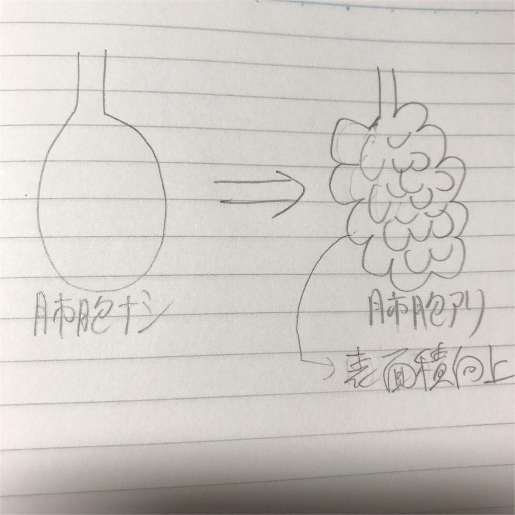 f:id:EF_510_514:20180721233257j:image f:id:EF_510_514:20180721233257j:image