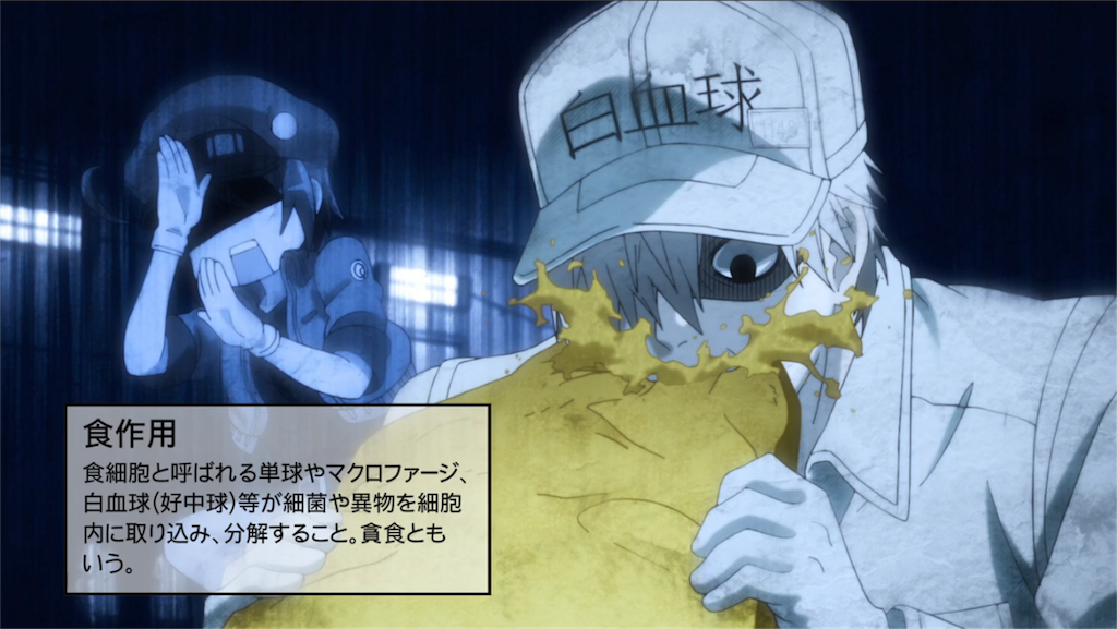 f:id:EF_510_514:20180813020520p:image f:id:EF_510_514:20180813020520p:image
