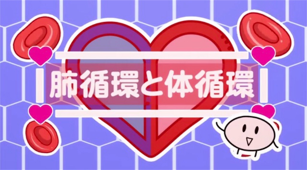 f:id:EF_510_514:20180911003317j:image f:id:EF_510_514:20180911003317j:image