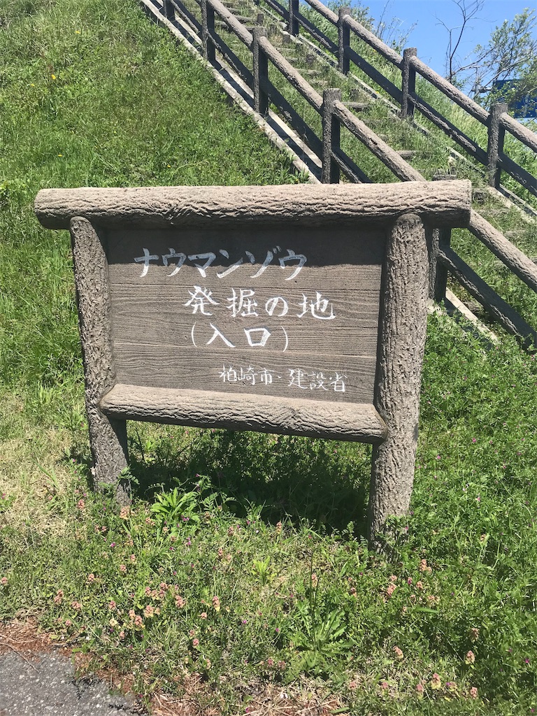 f:id:EF_510_514:20190512223432j:image f:id:EF_510_514:20190512223432j:image