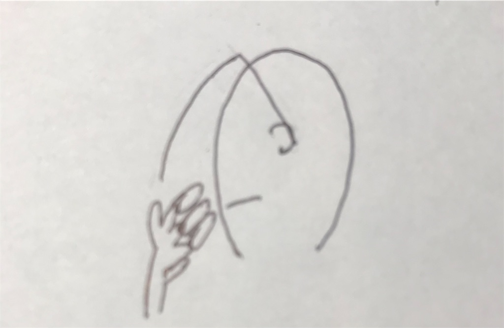 f:id:EF_510_514:20210203013628j:image f:id:EF_510_514:20210203013628j:image