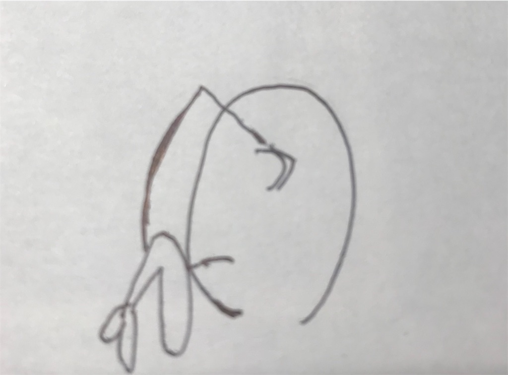 f:id:EF_510_514:20210203013849j:image f:id:EF_510_514:20210203013849j:image