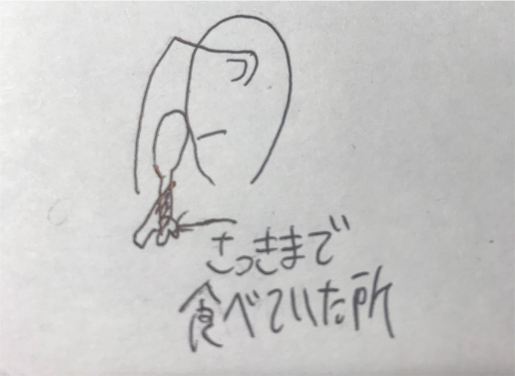 f:id:EF_510_514:20210203013905j:image f:id:EF_510_514:20210203013905j:image