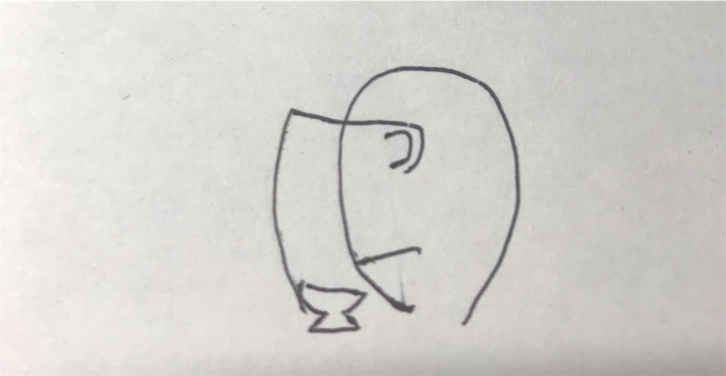 f:id:EF_510_514:20210203014916j:image f:id:EF_510_514:20210203014916j:image