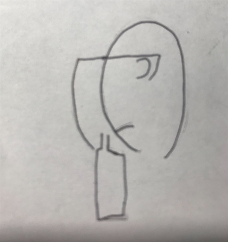f:id:EF_510_514:20210203015101j:image f:id:EF_510_514:20210203015101j:image