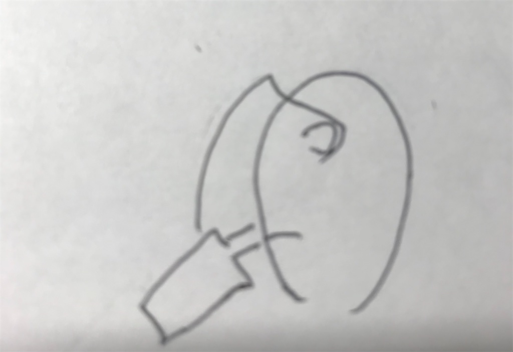 f:id:EF_510_514:20210203015108j:image f:id:EF_510_514:20210203015108j:image