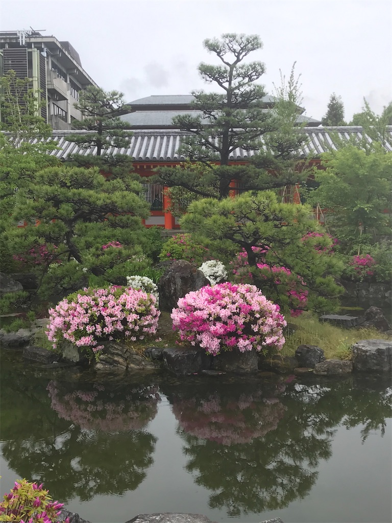 f:id:EF_510_514:20220528035622j:image f:id:EF_510_514:20220528035622j:image