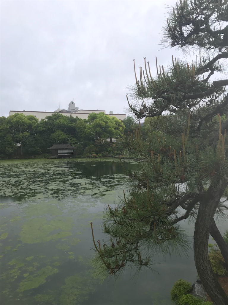 f:id:EF_510_514:20220528035752j:image f:id:EF_510_514:20220528035752j:image
